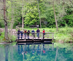 Die Rhumequelle gr&ouml;&szlig;e Karstquelle in Niedersachsen bei Rhumespring  (Foto: Wolfgang R. Ku